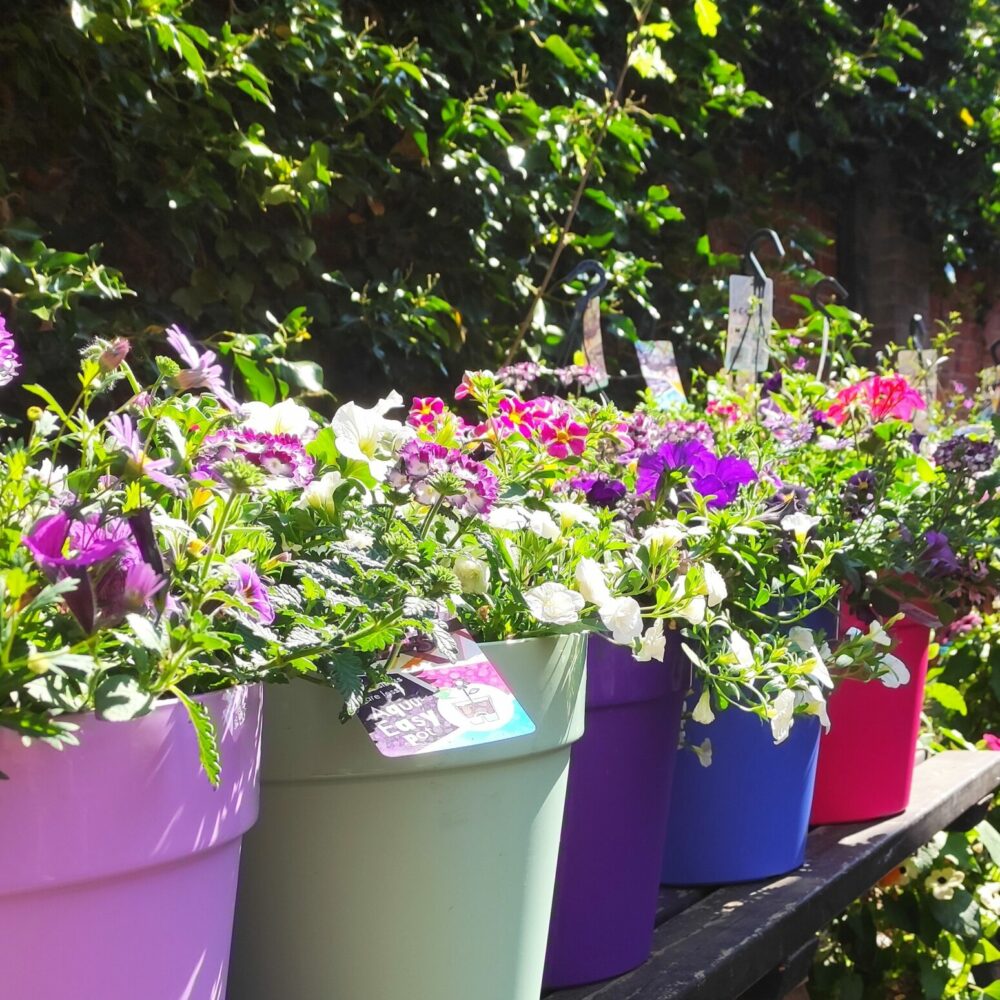 Fleurige festivalpot